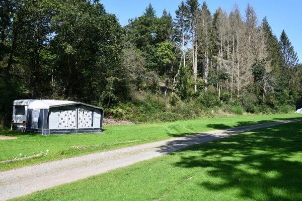 Emplacement à coté de la foret, camping international Ouren