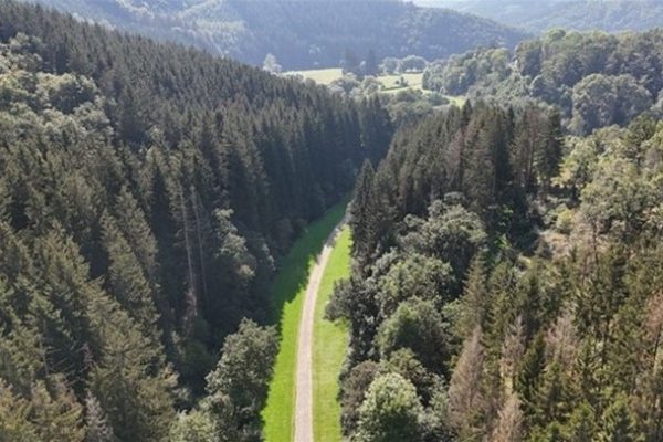 emplacement-nature-foret-camping-ouren
